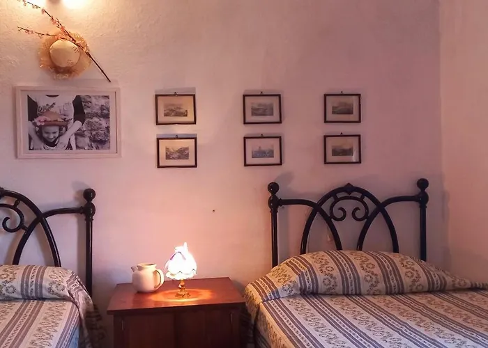 La Casa Del Gallo