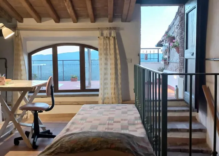 La Casa Del Gallo
