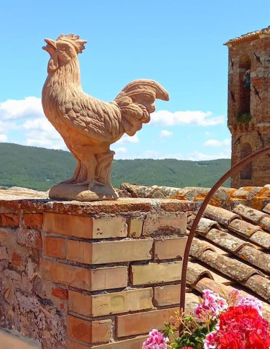 La Casa Del Gallo Apartment