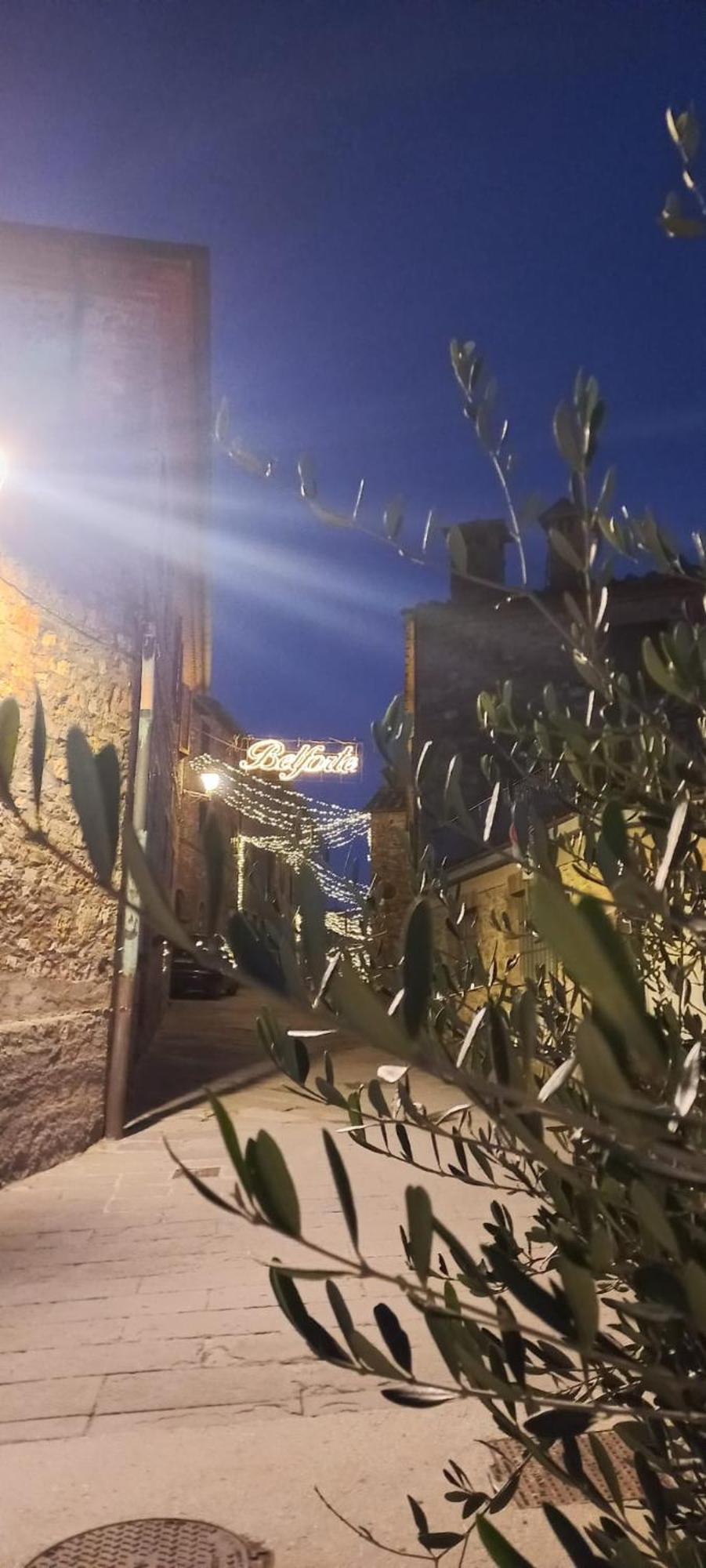 La Casa Del Gallo
